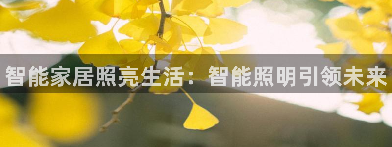 云顶国际商业广场商户