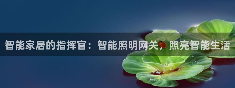 云顶国际是黑台吗知乎
