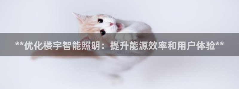 云顶国际A405