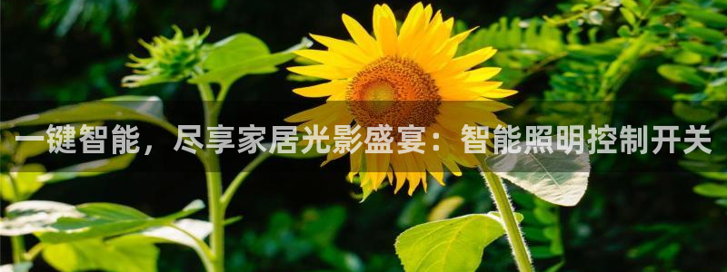 云顶国际二手房