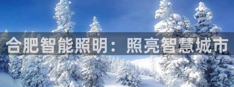 云顶国际服选哪个服务器好
