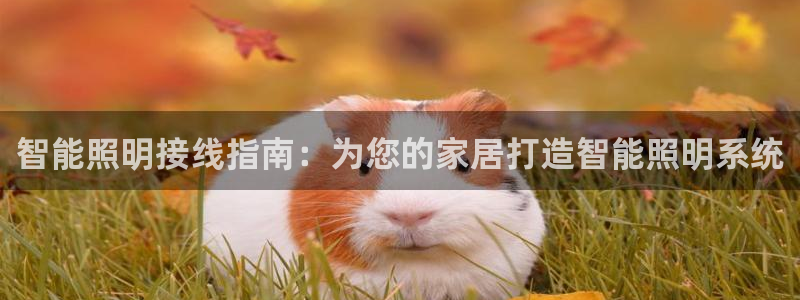 云顶国际提现多久到账户