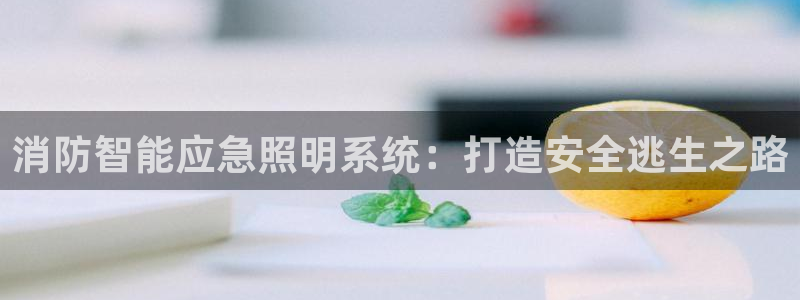 云顶12301网站