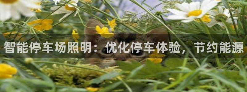 yd88888云顶