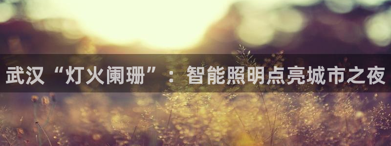 云顶集团王天才简介