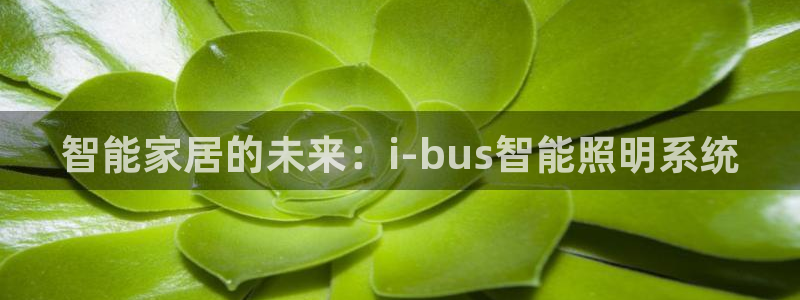 云顶集团是真实的吗