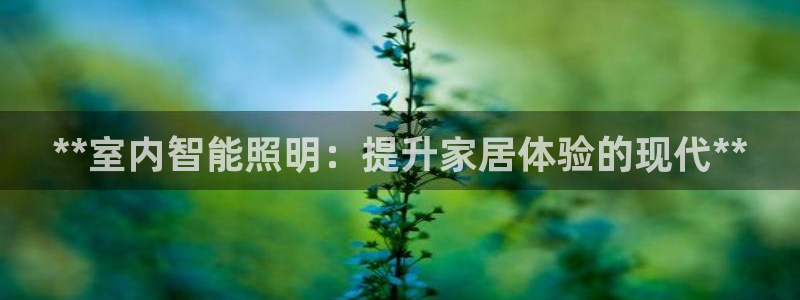 云顶电竞app怎么样
