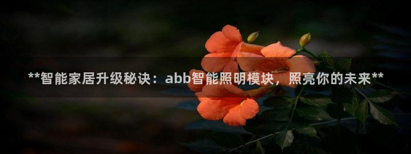 云顶电子游戏网站