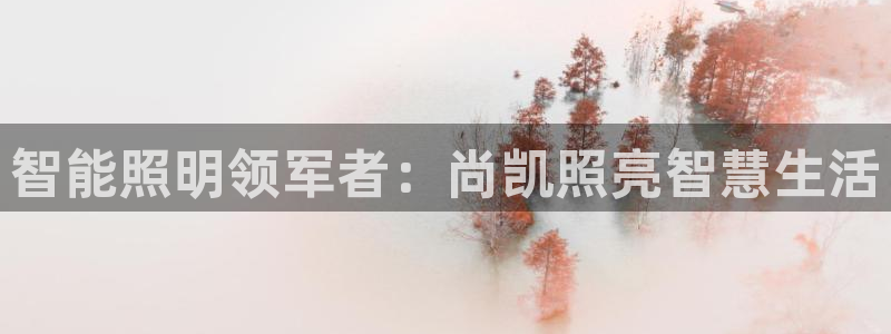 云顶国际大厦地址