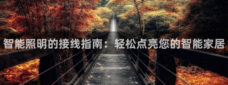 云顶国际酒店老板