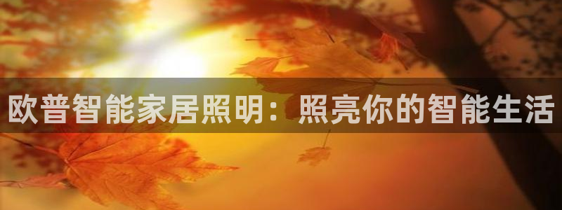 云顶集团招聘