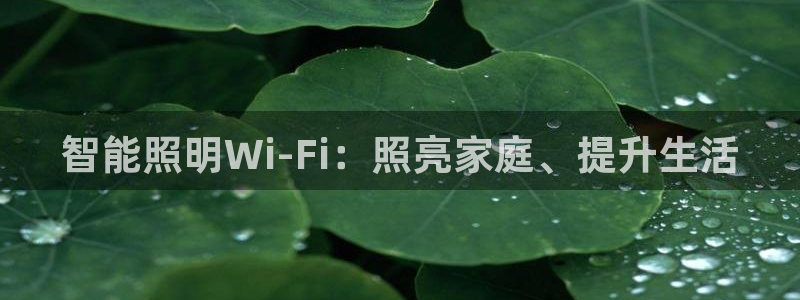 云顶国际取款多久到账啊