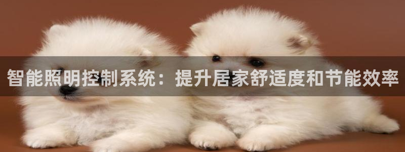 云顶国际商业广场商户