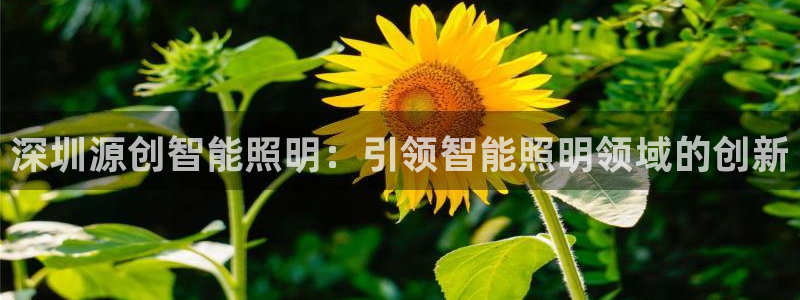 云顶集团注册送28官方网站