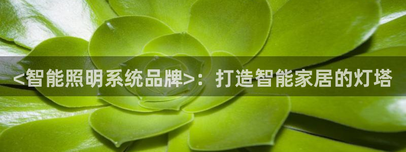 云顶集团有限公司简介图片
