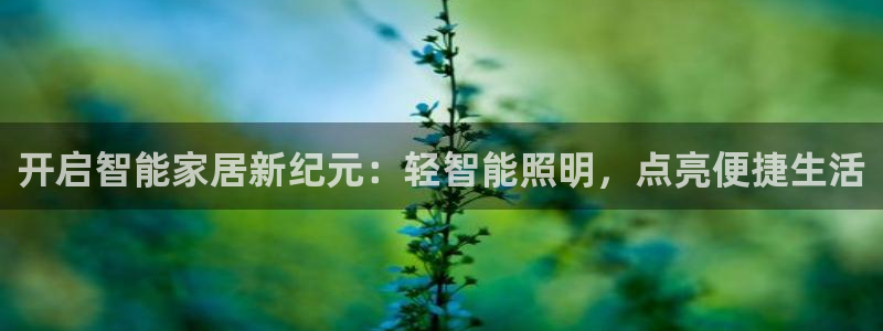 云顶国际平台游戏官网入口