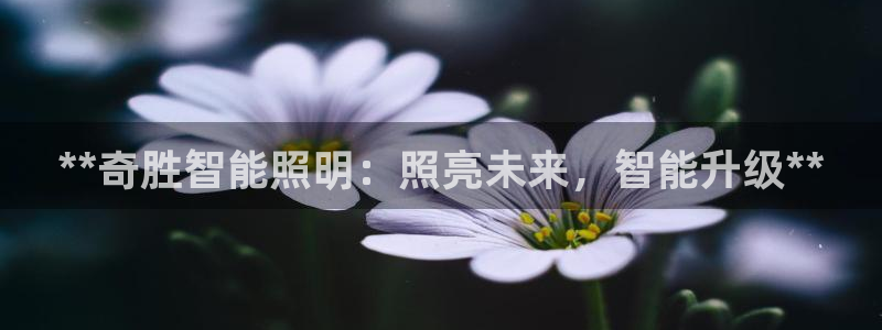 云顶国际APP