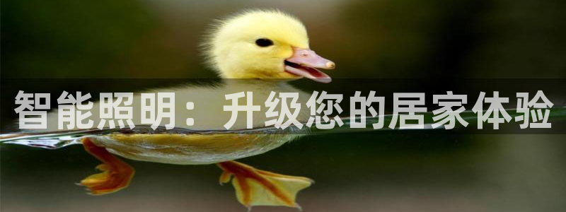 云顶国际注册送28