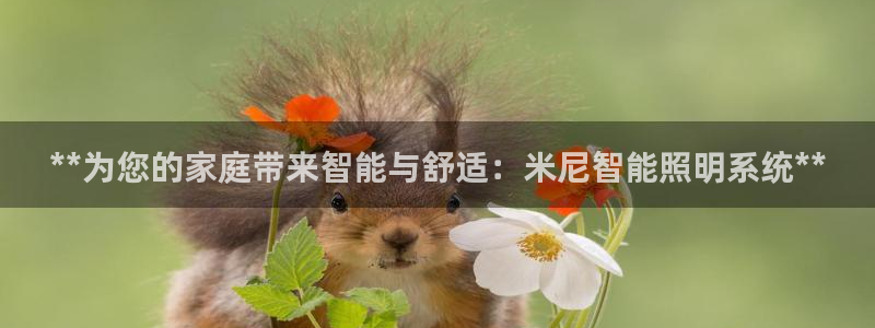 17173云顶