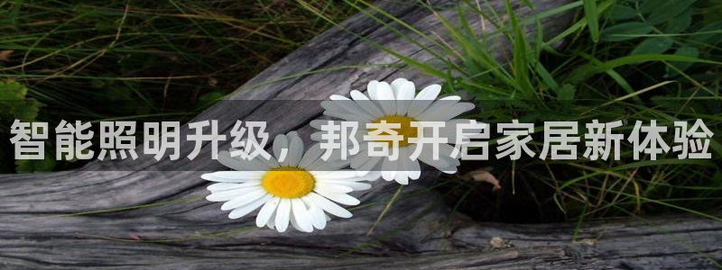 云顶集团创始人