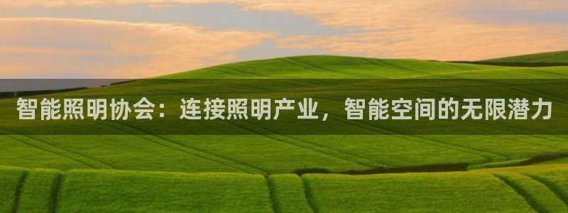 云顶国际游戏