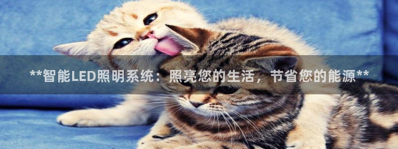 云顶国际电话号码