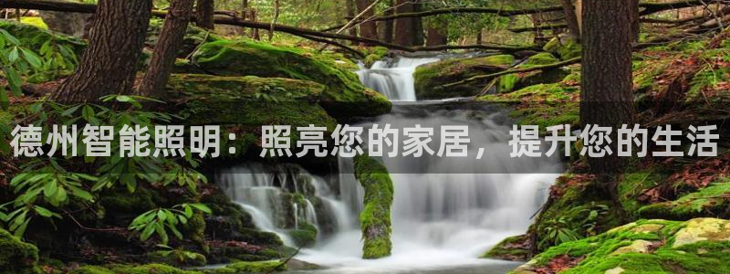 云顶国际网站