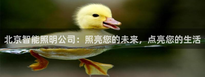 云顶国际提现不到账怎么回事