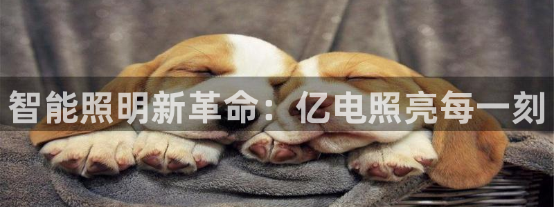 云顶集团中国公司
