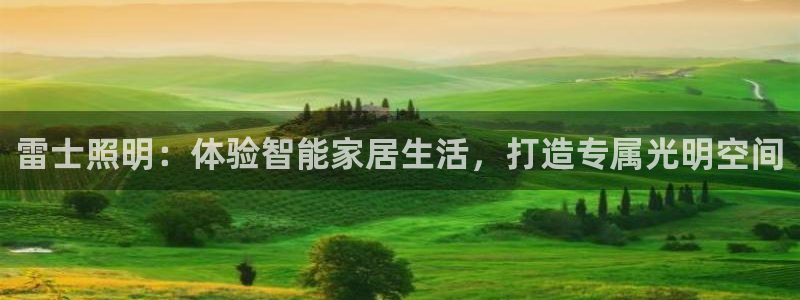 云顶国际物流有限公司