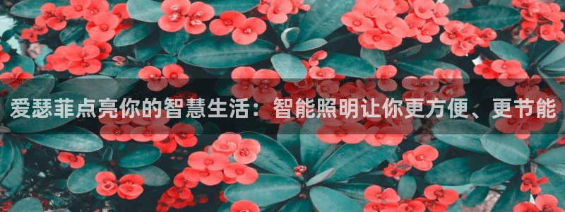 云顶国际公馆户型图