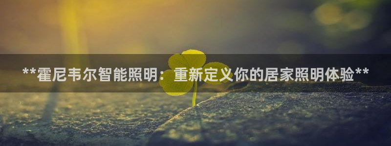 云顶国际投资有限公司怎么样