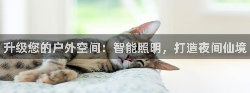 云顶集团APP下载
