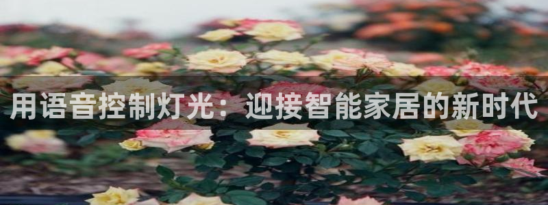 云顶国际网站可靠吗