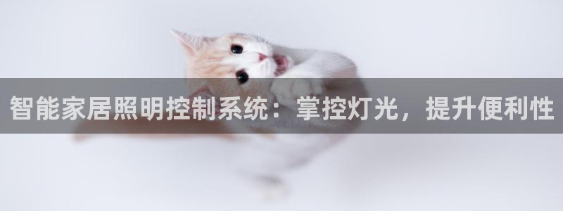 云顶集团有限公司简介