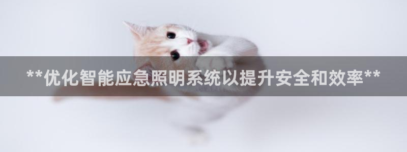云顶国际培训中心地址