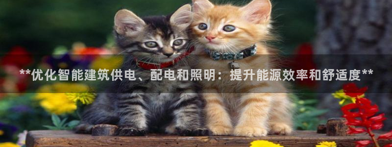 云顶mg网址