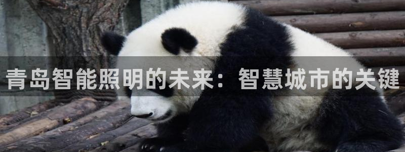 云顶国际足球app下载最新版