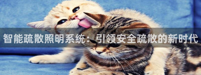 云顶国际大厦