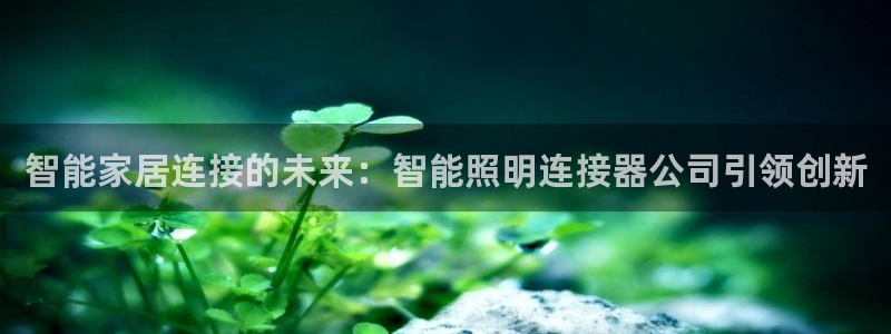 云顶国际服汉化