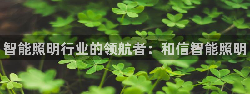 云顶国际软装公司怎么样知乎