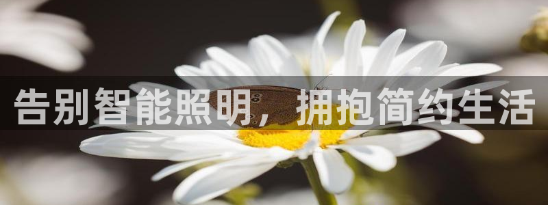 云顶集团有限公司简介资料