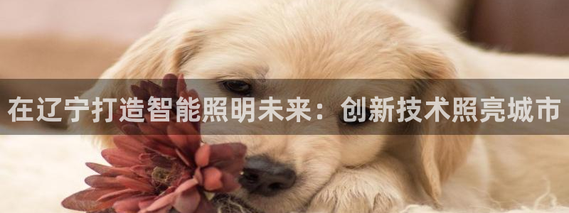 云顶集团游戏app