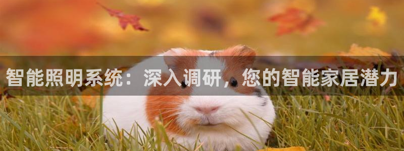 云顶国际app官方下载安装手机版