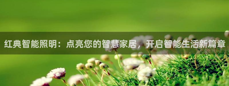 云顶国际25万没法提现