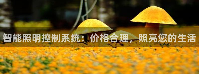 云顶集团公司简介图片