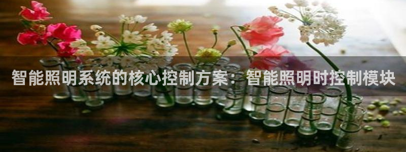 云顶中学国际部