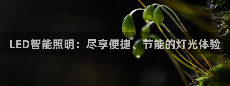 云顶国际网页版官网