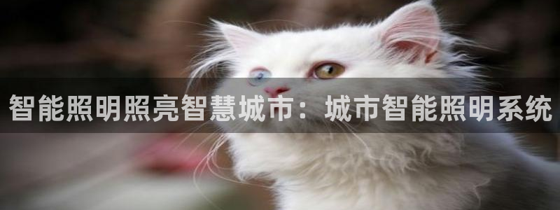 云顶国际宴会中心坐几路公交车