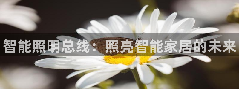 云顶国际官网app下载安卓